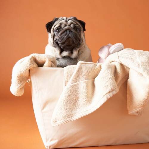 Savons Arthur Organisch sinaasappel en eucalyptus Wasmiddel - puur en schone kleding - geen verzachter nodig 1ltr