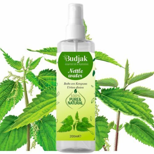 Bio Brandnetelbloemenwater (Urtica dioica) – 100% natuurlijk - herstelt de huid - ontgift en kalmeert 200ml