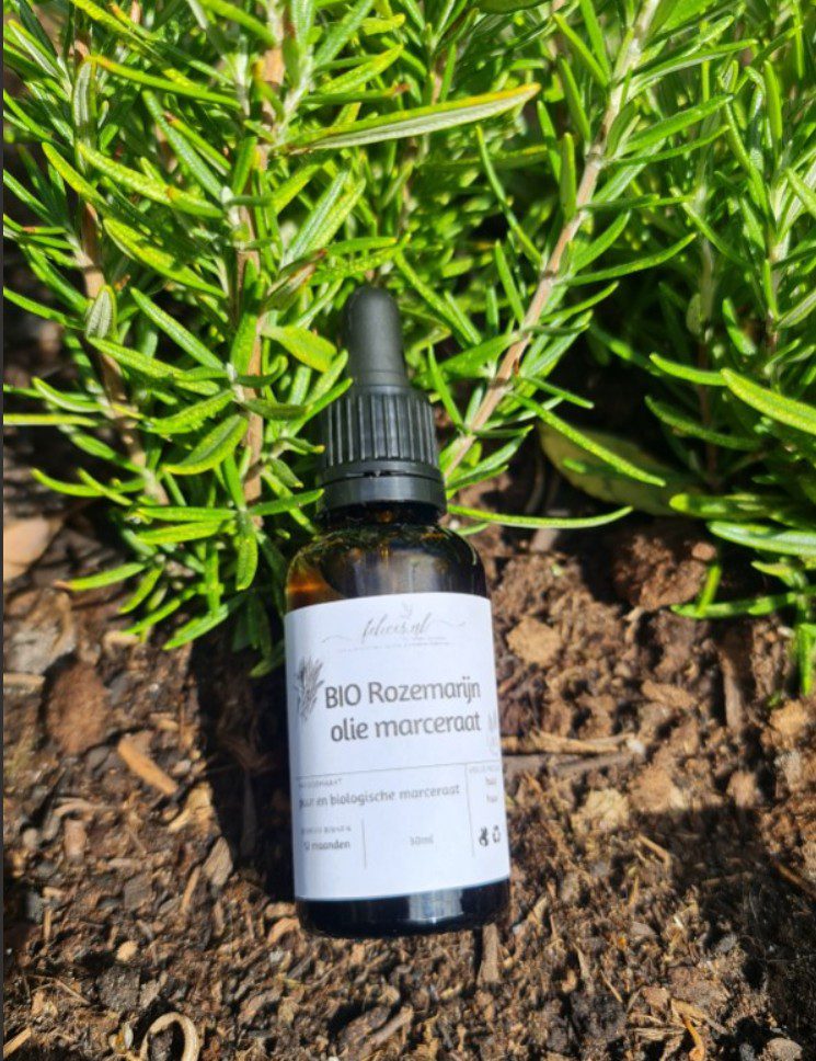 Biologische Rozemarijnolie - olie maceraat - haargroei - hoofdhuid - ECOCERT gecertificeerd 30ml