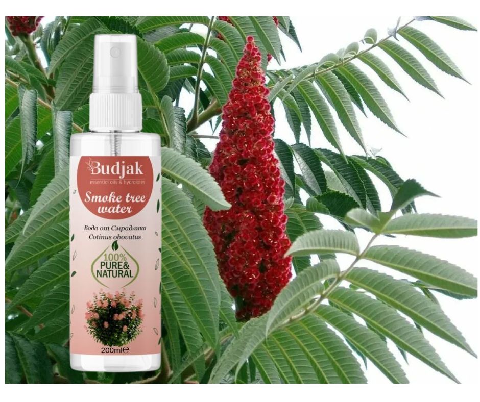 Biologische Sumak / Tetra (Cotinus coggygria) bloemenwater - acne geïrriteerde huid - vaginale - zuivert 200ml