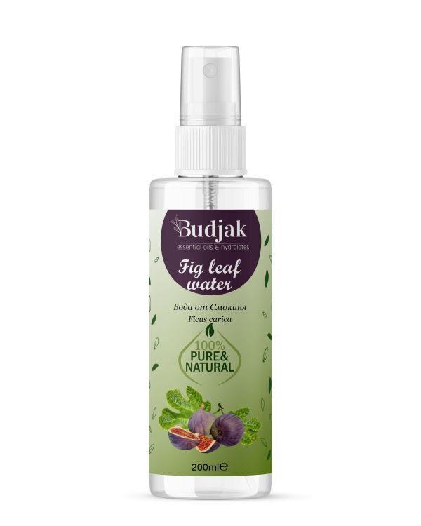Biologische Vijgenbladbloemenwater (Ficus carica) – verjongt - kalmeert de huid - fruitig-zoet aroma 200ml